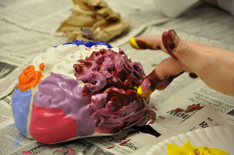 A child's hand finger painting a ceramic model brain