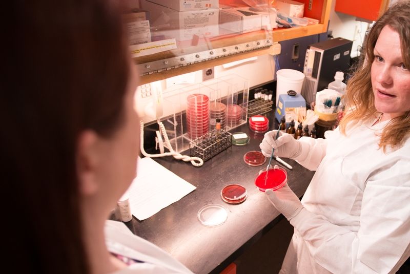 MLT faculty with a Petri dish talking to a student in a lab environment