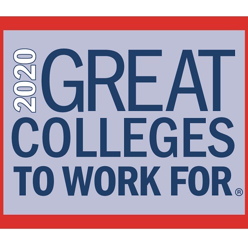 2020 Great Colleges to Work For logo