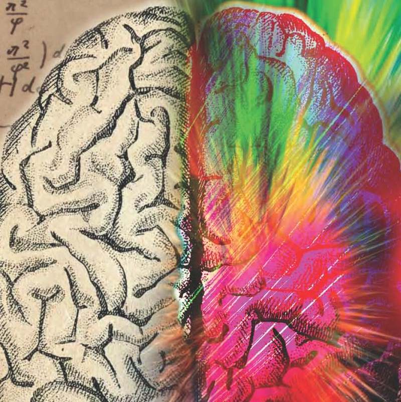 Visual art of brain with black & white on the left and color on the right of the longitudinal fissure