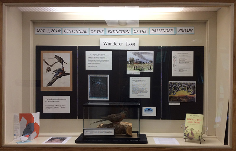 Photo of exhibit "Centennial of the Extinction of the Passenger Pigeon" with pictures, graphs, and a model