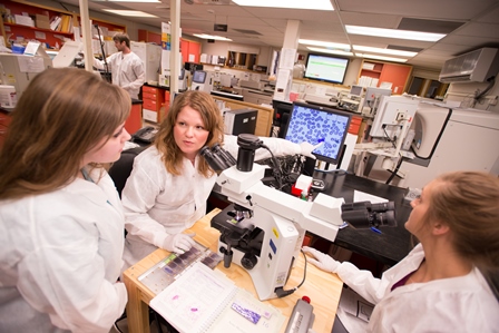 Photo of four students in a lab using microscopes