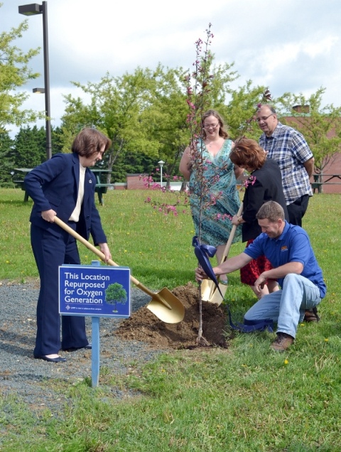 Photo of five people planting a tree