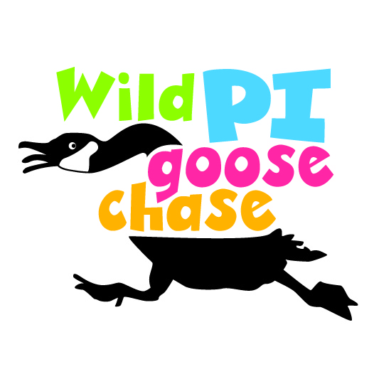 Wild PI Goose Chase logo